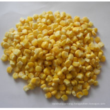 Chinese Frozen Corn Niblet/Yellow Baby Corn
